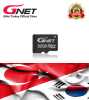 GNet 32 GB HAFIZA KARTI & HEDİYE ELEKTRONİK ADAPTÖR - Thumbnail (1)